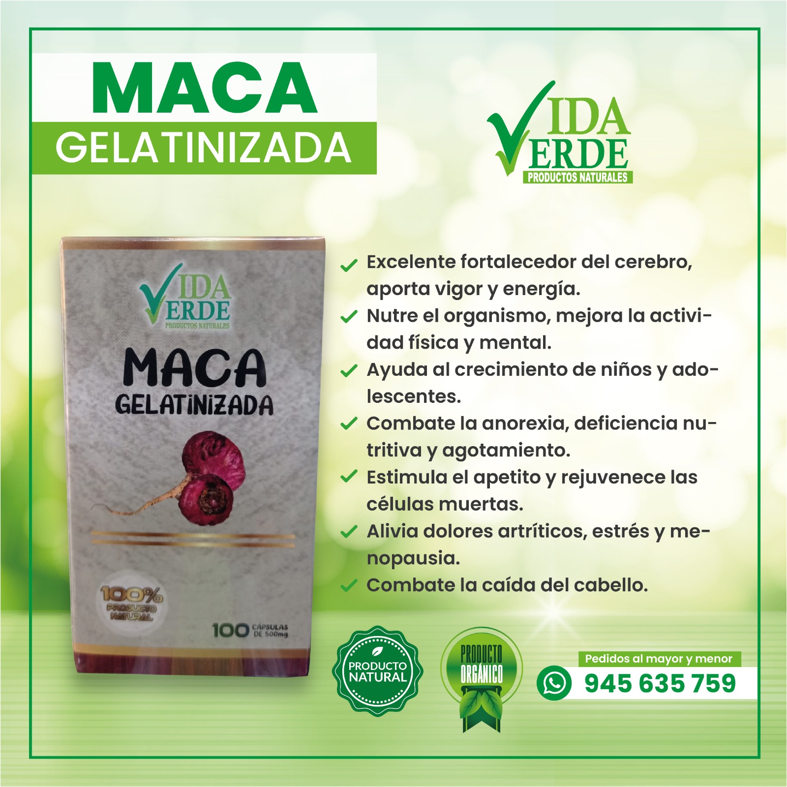 MACA GELATINIZADA - Energizante Natural